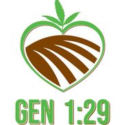 Gen 1:29 CBD Hemp OIl