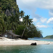 Sea The World Travel