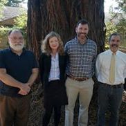 Stokes, Hamer, Kirk & Eads, LLP