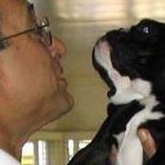 Center-Sinai Animal Hospital