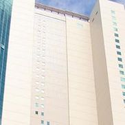 Ingenious Investments, Inc.