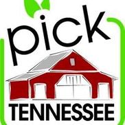 Tsali Notch Vineyard