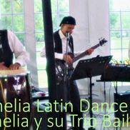 Camelia Bands
