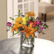 Cindy's Flowers & Gifts