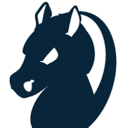 Affluence Partners Inc.