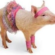 custom baby boutique