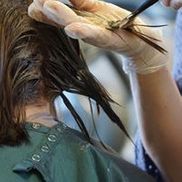 Haven Hair Salon Iowa City Ia Alignable