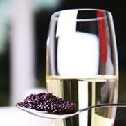 Savory Taste Food & Wine Event