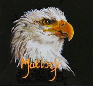 Soulful Images, Spicewood TX