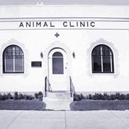 9th Avenue Animal Clinic - Calgary, AB - Alignable