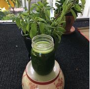 All About Health By Susan