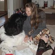 Tailwagger's Massage and Hydrofitness