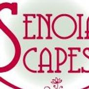 Senoia Scapes, LLC