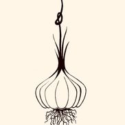 Above &Beyond Catering  llc