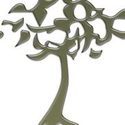 Green Olive Tree