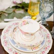 The Prissy Plate Company