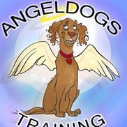AngelDogs Training