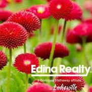 Pam Troje Edina Realty