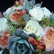 Stevens the Florist South,Inc.
