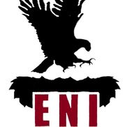 Eagle’s Nest Inspections LLC, Marquette Heights IL