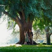 Carla Whitaker Photography