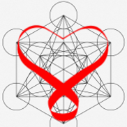 Scalar Heart Connection