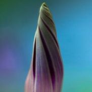 Sam Pranger Photography