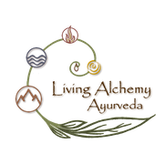 Living Alchemy Ayurveda, Asheville NC