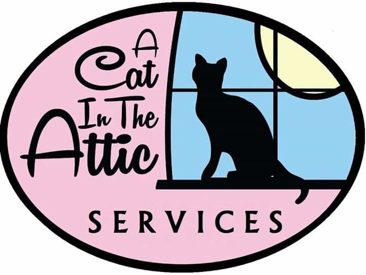 A Cat In The Attic Waynesville 2020 All You Need To Know Before You Go With Photos Tripadvisor