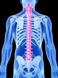 South Jersey Spine Center & Weight Loss Clinic, Medford NJ