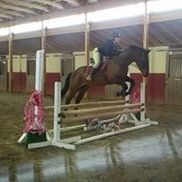 Suffolk Stables