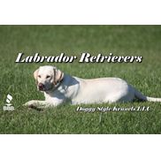 Doggy Style Kennels LLC