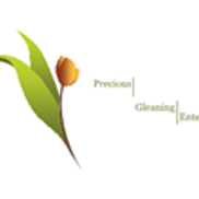 Precious Gleaning Enterprise