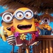 Parrotheads of the Phininsula