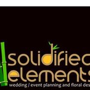 Solidified Elements