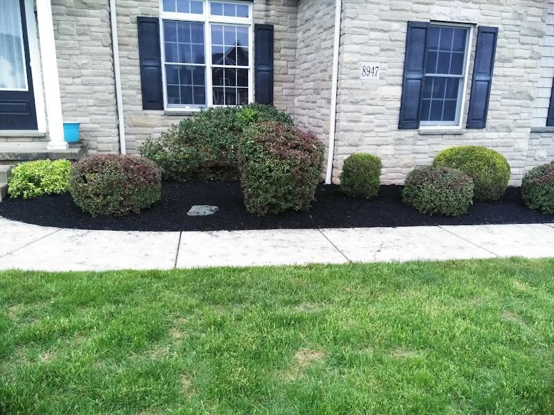 Tomczak's Lawn Care LLC., Hamburg NY