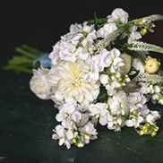 Christine Ashburn Photography