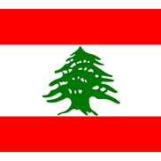 Ara's Lebanese Grill