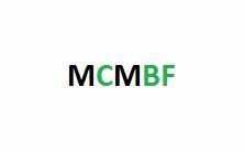 MCM BUSINESS FUNDING, Bronx NY