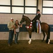 Copple Show Horses Inc.