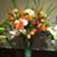 Culinary Delights Catering and Special Event Planning