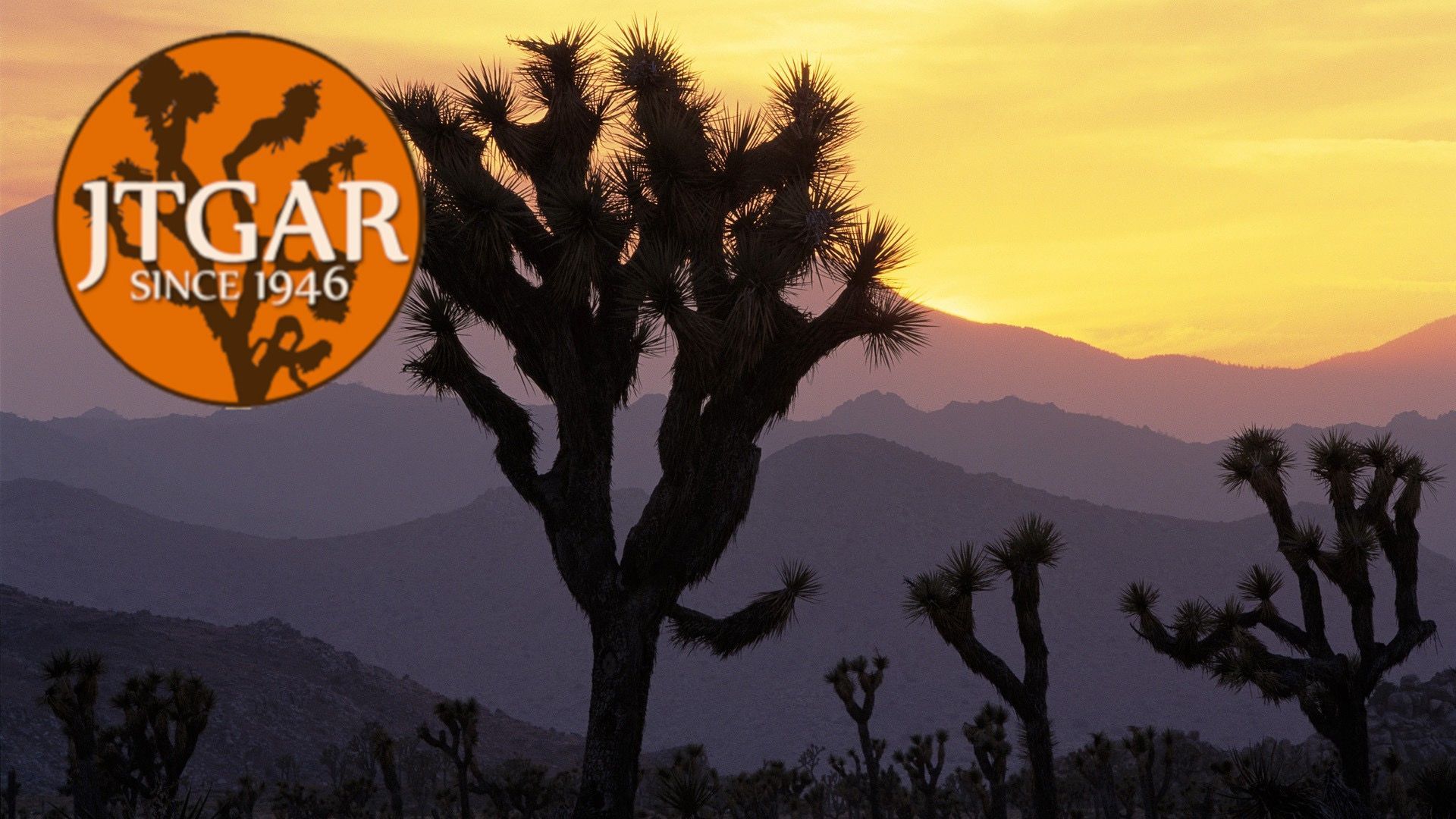 Spring Fresh Cleaning Yucca Valley, CA Alignable