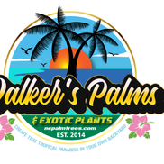 Walkers Palms and Exotic Plants