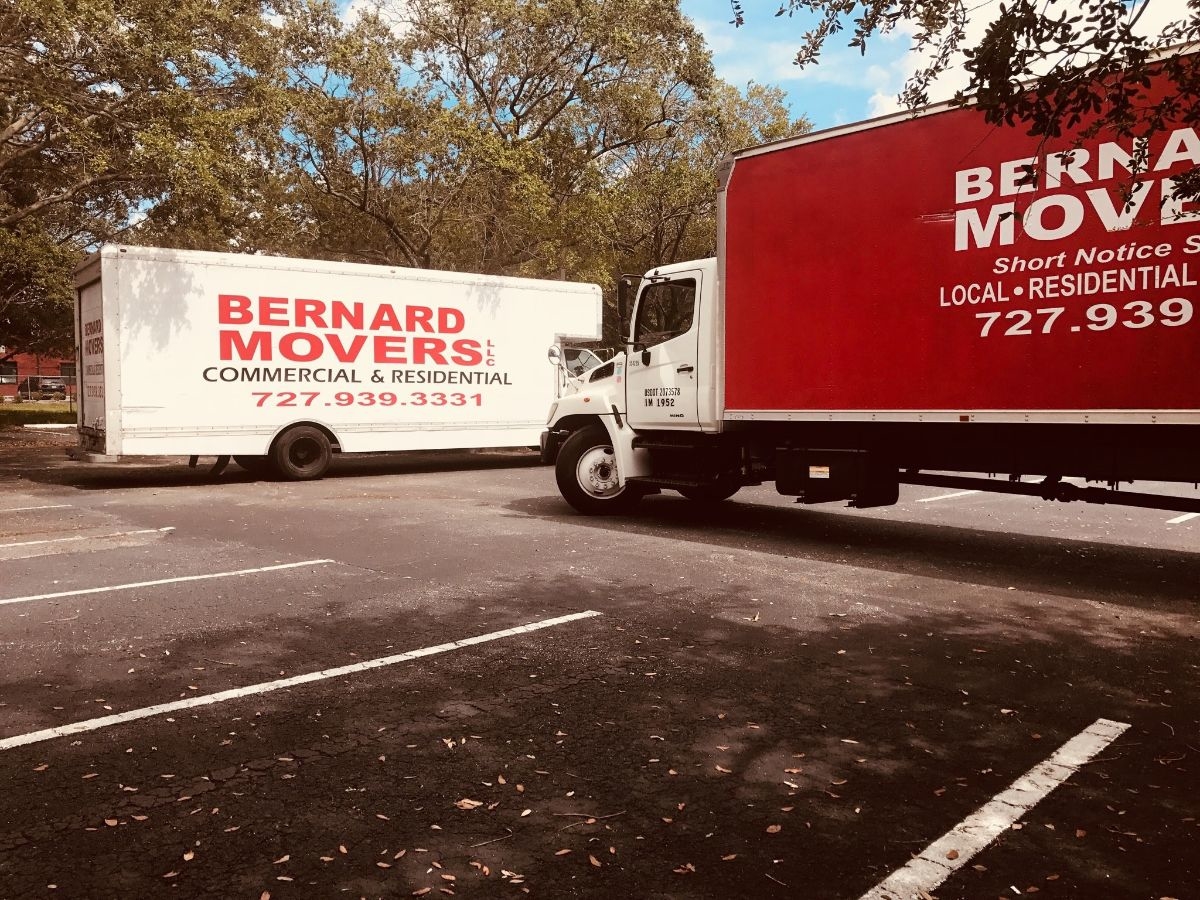 Bernard Movers LLC - Tampa Bay Area , Holiday FL