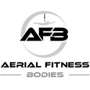 Aerial Fitness Bodies