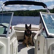 Michals Insurance Agency Inc.