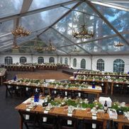 Big Top Tent Rentals