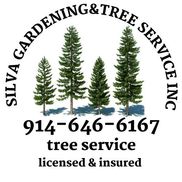 Silva Gardening & Tree Service Inc