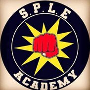 Sports Performance Lifestyle Enhancement Martial Arts Academy  