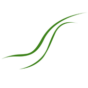 York Physiotherapy Associates, Richmond Hill ON